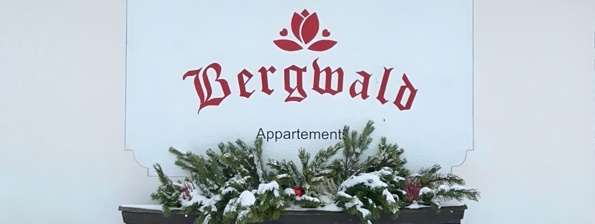Bergwald Apartman Alpbach Kültér fotó